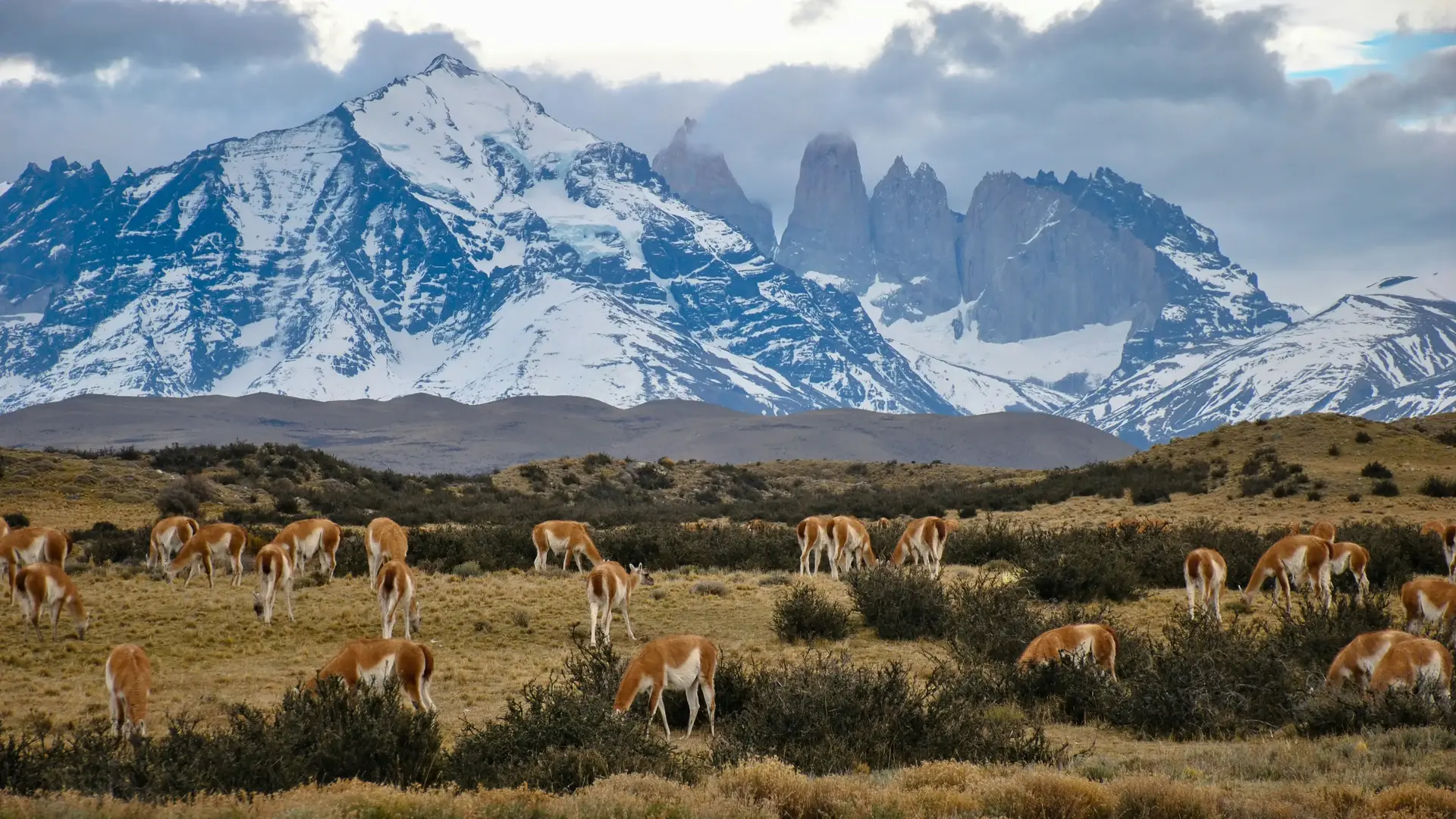 Paisaje inspiracional Torres del Paine